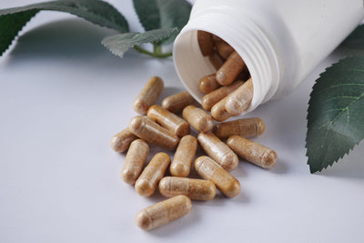 Home page